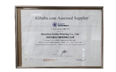 Supplier Assessment Certificate No. 6503807 P+T阿里巴巴