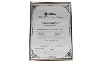 Supplier Assessment Certificate No. 6503807 P+T